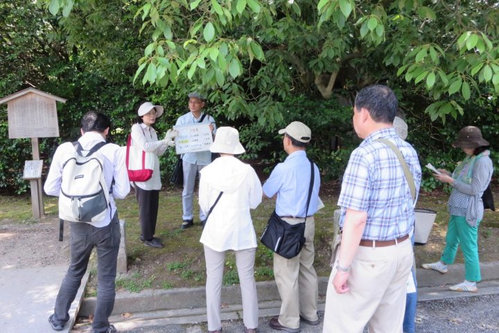 13.京都御苑歴史散策ツアー